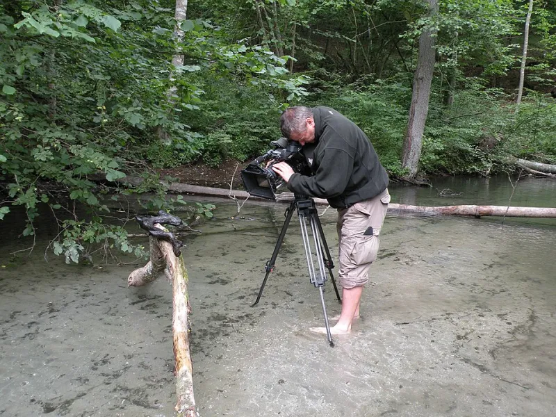 What We Lost When Streaming Turned Up the Volume on Nature Docs